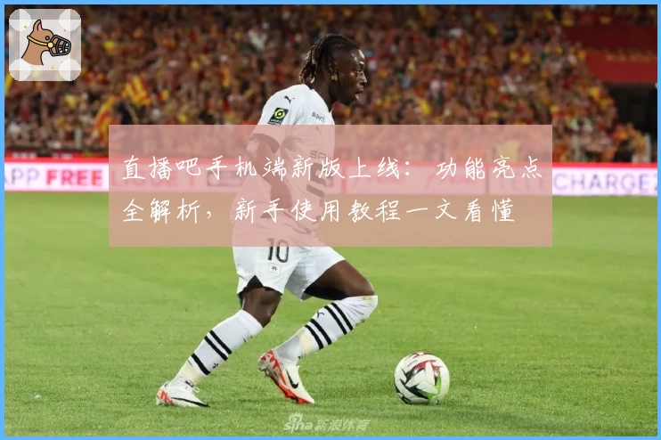 直播吧手机端新版上线：功能亮点全解析，新手使用教程一文看懂