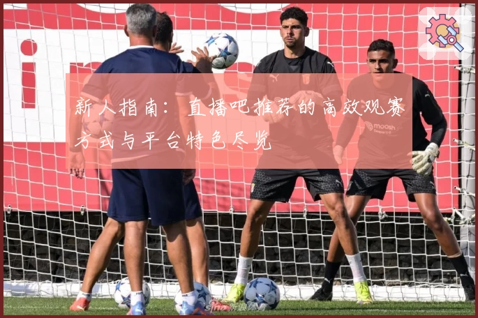 新人指南：直播吧推荐的高效观赛方式与平台特色尽览